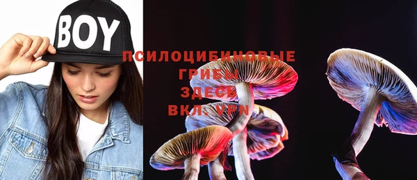 MESCALINE Аркадак